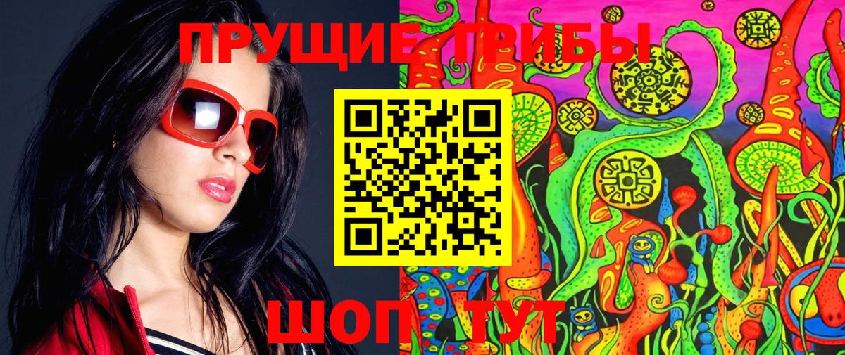Псилоцибиновые грибы Cubensis Копейск